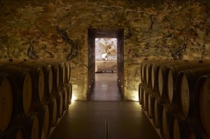 5._tasting_room_at_the_winery_at_vik_entrance_detail