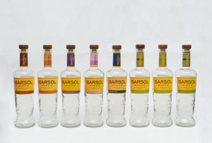 8-BarSol Bottles
