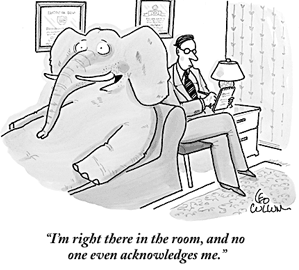 elefante en la habitación