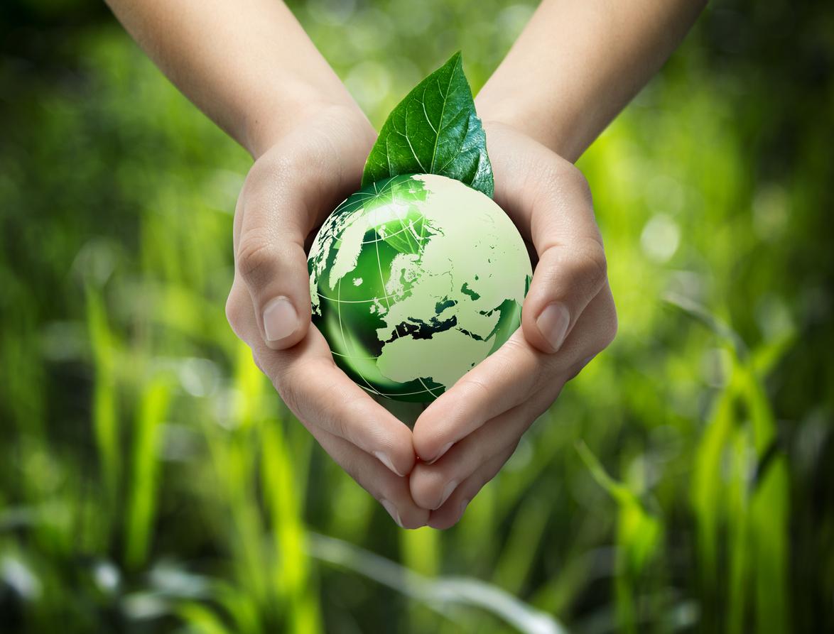 Día Mundial del Ambiente: Un mundo mejor es posible